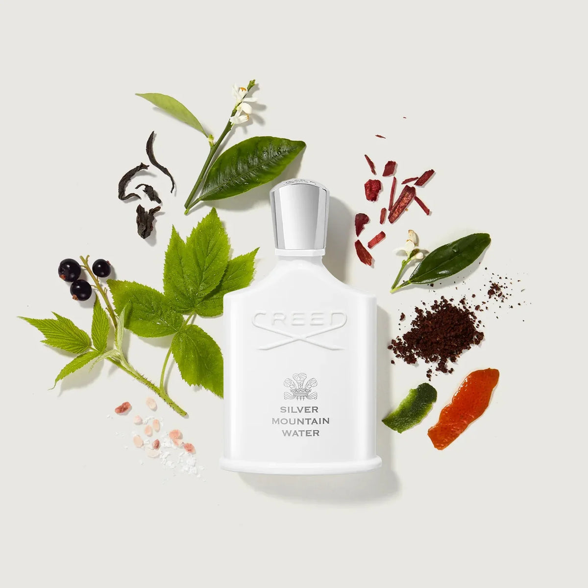 Creed Silver Mountain Water 100ml